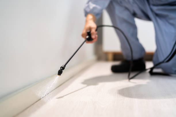 Licensed Pest Control service in Faith, NC - Show Me Pest Control