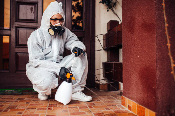 Reliable Wasp Removal contractor in Faith, NC by Show Me Pest Control